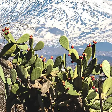 Oriente Dell'etna Belpasso