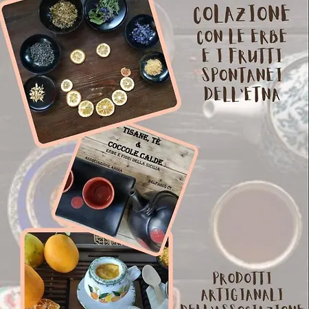 Oriente Dell'etna Holiday home Belpasso